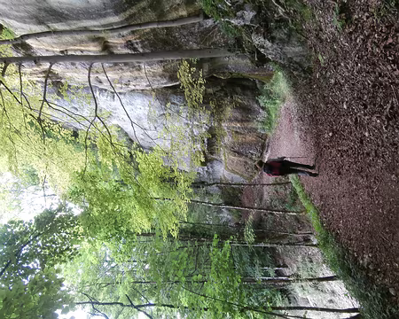 Jour 5 06072016 1458 (Danielle)