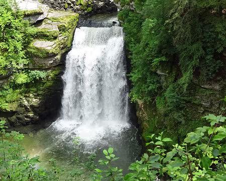 Jour 5 06072016 1516 (Régine)