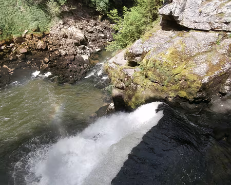 Jour 5 06072016 1523 (Danielle) un tigre crache le Doubs