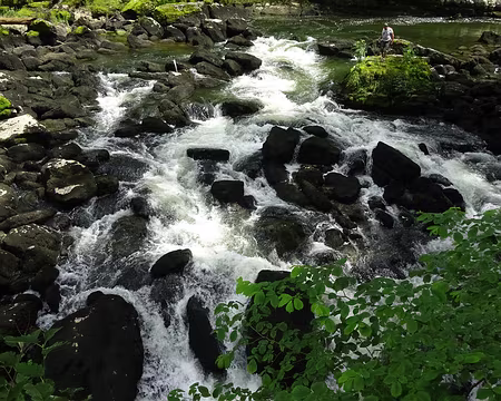 Jour 5 06072016 1523 (Régine)