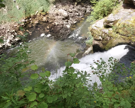 Jour 5 06072016 1524 (Danielle)