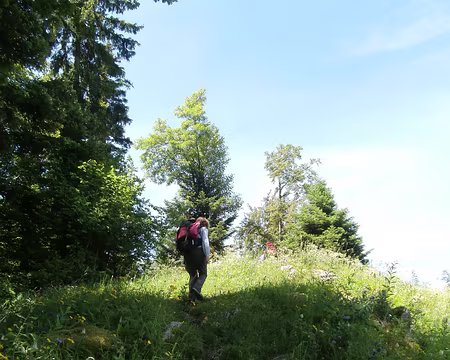 Jour 6 07072016 1221 (Danielle)