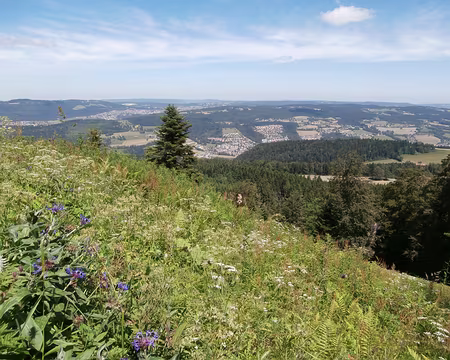 Jour 6 07072016 1222 (Danielle) chemin de crête