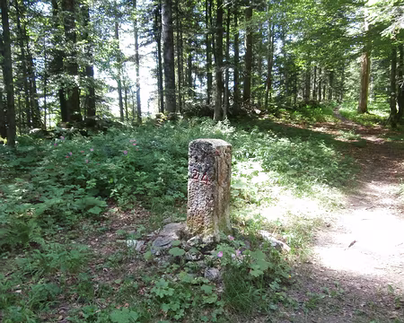 Jour 6 07072016 1224 (Danielle) borne frontière 24