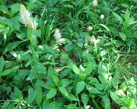 Jour 6 07072016 1317 (Régine)