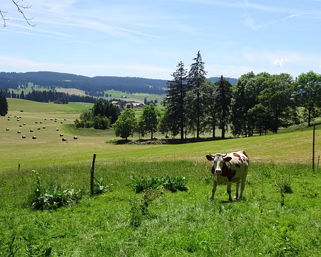 Jour 6 07072016 1326 (Régine)