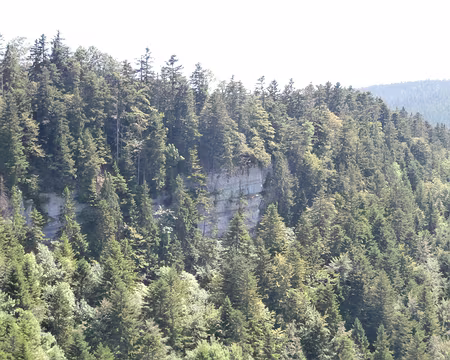 Jour 6 07072016 1558 (Danielle)