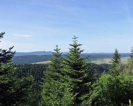 Jour 7 08072016 0933 (Régine)