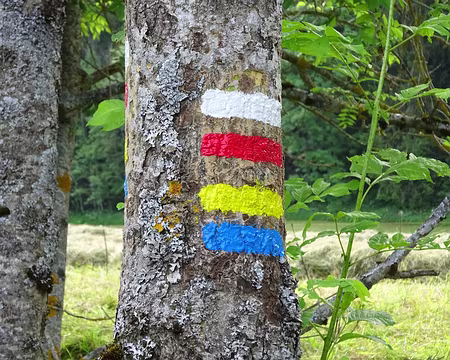 Jour 7 08072016 1006 (Régine)