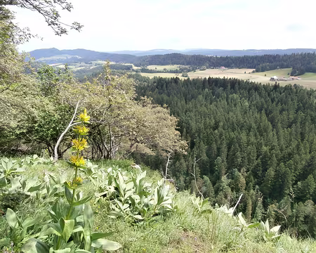 Jour 7 08072016 1353 (Danielle)