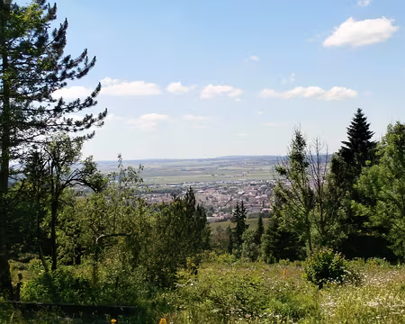 Jour 8 08072016 1532 (Danielle) Pontarlier en vu