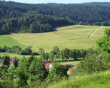 Jour 8 09072016 0933 (Régine)