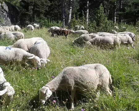 20160724_104638