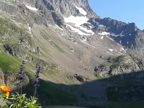 Edith Edith E, détail sortie