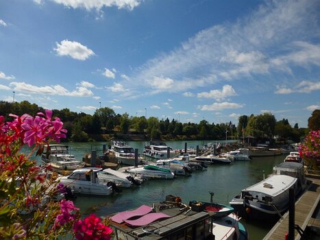 Dominique Dominique F, détail sortie