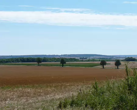 P1070086
