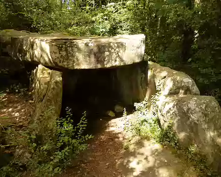P1020324 Le dolmen de Janville-sur-Juine, 4,30 m de longueur, est l'un des rares mégalithes du Hurepoix.