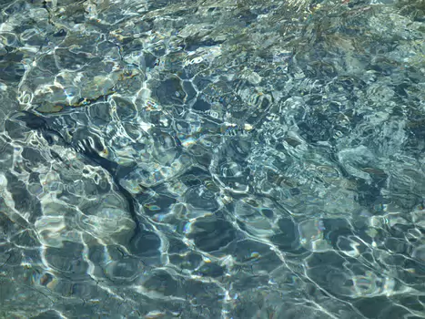 2016-08 Ubaye et Queyras