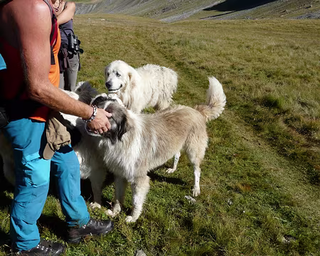 21004e Ils imposent le respect.