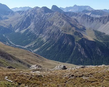 27003 Tête de la Jacquette