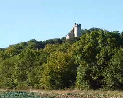 P1020544 Château du Soudun surplombant la vallée de la Creuse.
