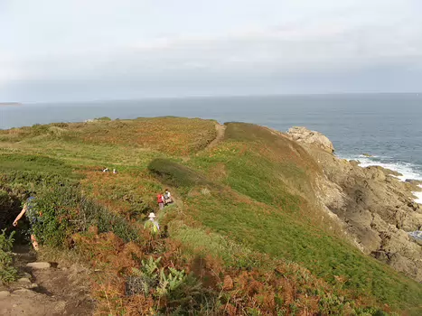 David David V, détail sortie