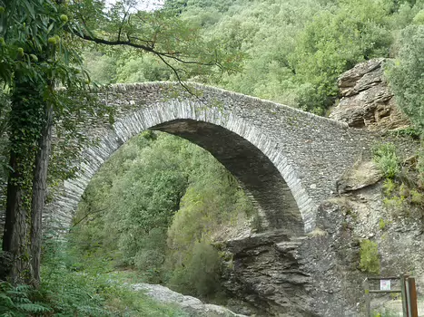 2016-09 Drailles cévenoles