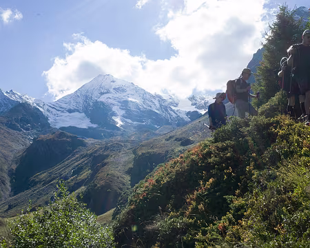 2016_09_25_14-26-02 À travers les myrtilliers sur fond de Mont Turia. (Le Mont Pourri est caché juste derrière.)