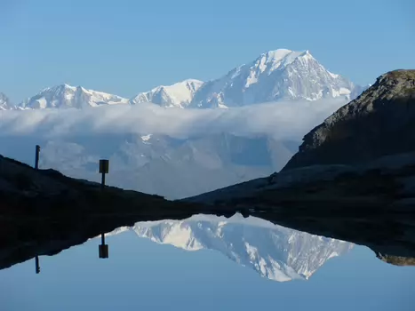 Frédéric Frédéric D, détail sortie