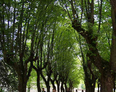 2016_09_18_10-51-41 En route pour Halatte