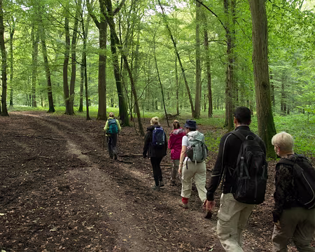 2016_09_18_13-45-39 Grandes allées et haute futaie