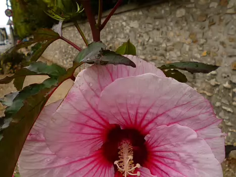 2016-09 Vallée de la Marne