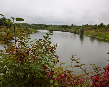 P1020433 Zones humides du Parc de la Haute-Ile, situé entre le canal de Chelles et une boucle de la Marne.