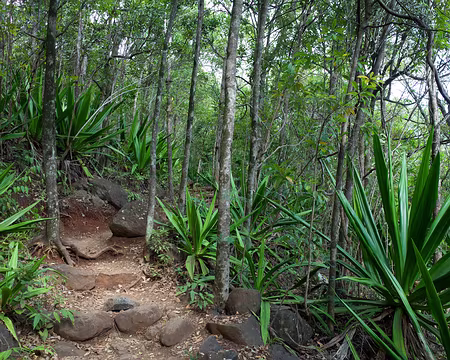 2016_10_15_08-51-02 J1 - Début du sentier à Providence