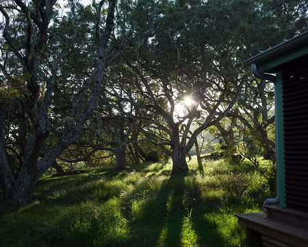 2016_10_16_06-34-46 J2 - 6h30, lever de soleil sur la Plaine des Chicots