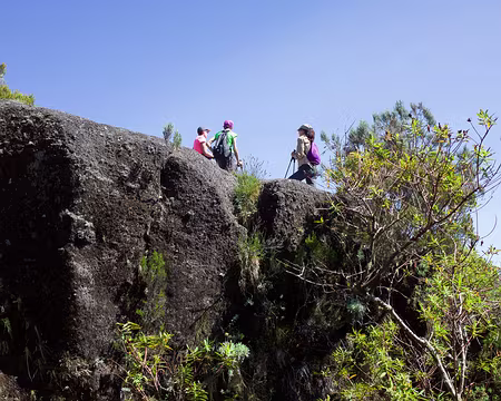 2016_10_16_09-20-58 Au-dessus de la Caverne Soldats