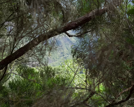 2016_10_16_13-13-51 Bras de Ste-Suzanne