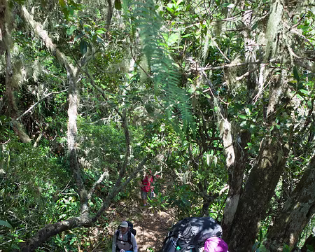 2016_10_16_13-20-26 Sentier accidenté vers Dos d'Âne