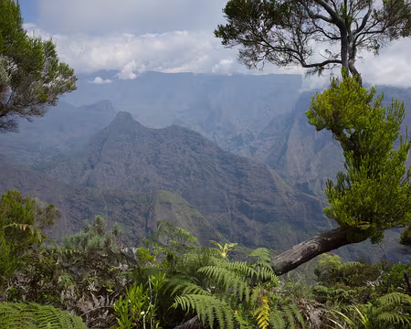 2016_10_16_13-35-13 Piton Cabris