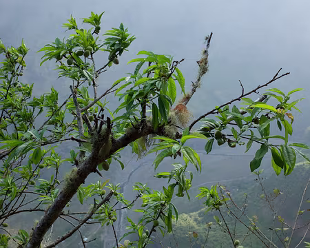 2016_10_16_15-37-11 Pêcher au-dessus des Deux Bras