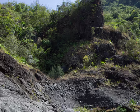 2016_10_17_09-58-31 Première baignade dans la rivière des Galets