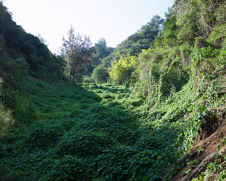 2016_10_17_15-20-10 Entre Aurère et Malheur