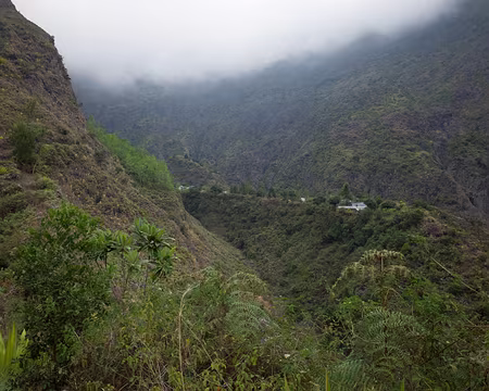2016_10_18_16-54-37 Dernière montée vers l'îlet des Orangers les Hauts, au pied du rempart embrumé