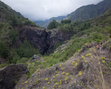 2016_10_20_14-14-10 Tisanerie