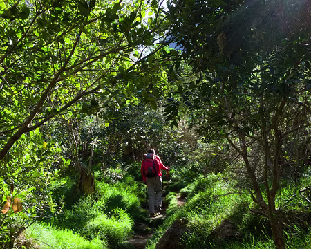 2016_10_24_08-12-21 J10