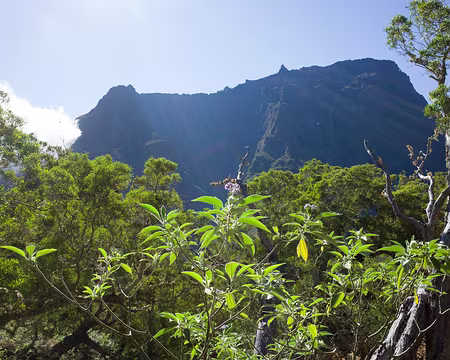 2016_10_24_08-46-02 Le Gros Morne au-dessus de la plaine des Tamarins