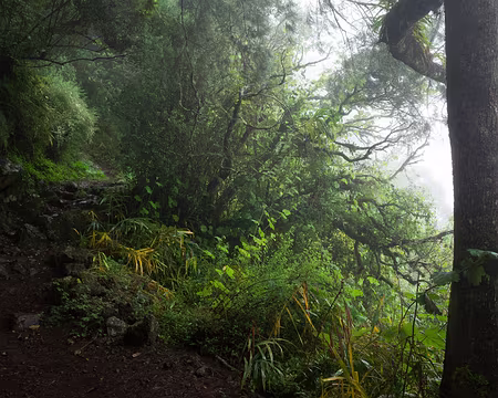 2016_10_25_15-28-42 Montée vers Bélouve