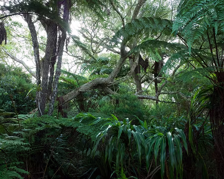 2016_10_25_16-20-06 Sentier de la Tamarinaie en soirée