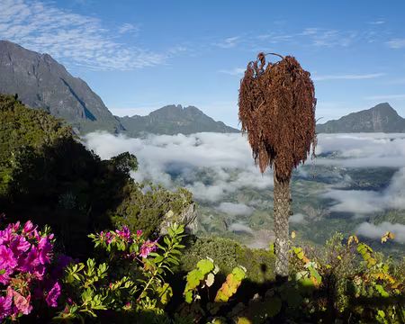 2016_10_26_06-53-29 J12 - Gros Morne, Morne de Fourche, Cimandef et cirque de Salazie depuis le gîte de Bélouve