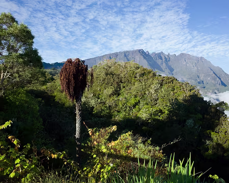 2016_10_26_06-55-00 Piton des Neiges et Gros Morne